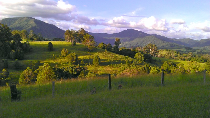 A hippies kinda town.